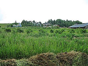 «Светлана», поле, компост