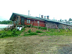 Пекарня в «Светлане»