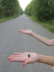 Земля и Луна (размеры и расстояние в масштабе)