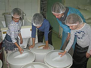 Вот закваски, которых там тоже много, большого энтузиазма не вызвали из-за своего кислого запаха и были быстро прикрыты крышками :-)