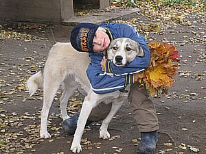 В хозяйстве много животных - две собаки, кошка и пятеро котят, корова и двухмесячный бычок, годовалая лошадка и осёл.